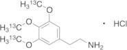 Mescaline tris-(13C-Methoxy) Hydrochloride