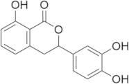 Thunberginol G