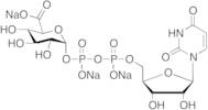 Trisodium UDP-glucuronic Acid