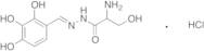 [(2,3,4-Trihydroxyphenyl)methylene]hydrazide-serine Hydrochloride