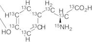 L-Tyrosine-13C9,15N