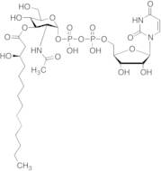 UDP-3-O[R-3-Hydroxymyristoyl]-N-acetylglucosamine