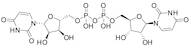 Uridine 5'-(trihydrogen pyrophosphate), 5'→5'-ester with Uridine