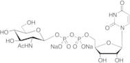 Uridine 5’-Diphospho-N-acetylglucosamine Disodium Salt