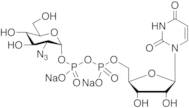 Uridine Diphosphate-GlcNaz