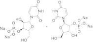 Uridine Monophosphate Disodium Salt (2’- and 3’- mixture)