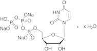 Uridine 5’-Triphosphate Trisodium Salt Hydrate