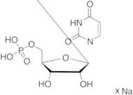 Uridine 5'-Monophosphate Sodium Salt