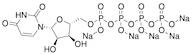 Uridine 5'-Tetraphosphate Pentasodium Salt