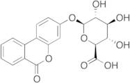 Urolithin B Glucuronide