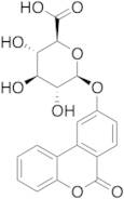 Isourolithin B Glucuronide